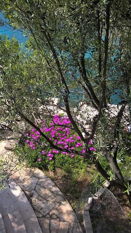 House Rhapsody In Blue Villa Tkon 0*,  Croatia